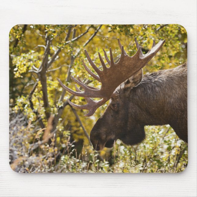 Noble Bull Moose Mouse Mat (Front)