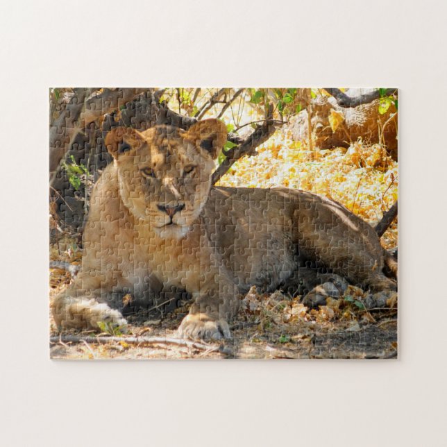 Noble Lions of Africa. Jigsaw Puzzle (Horizontal)