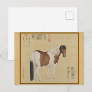 Noble Spotted Stallion - Traditional Silk Print Postcard