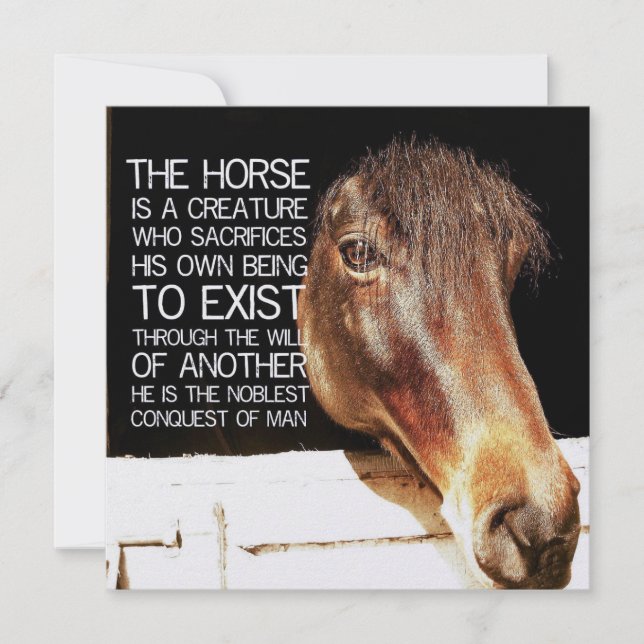 NOBLE STALLION 5.25 x 5.25 card (Front)