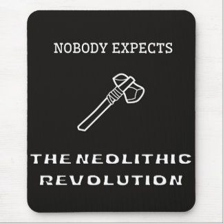 Nobody Expects the Neolithic Revolution Mouse Mat