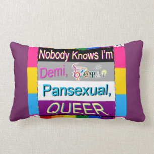 Nobody Knows I'm Demi Sapio Pansexual QUEER Lumbar Cushion