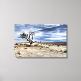 Nobody wanted land canvas print