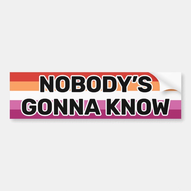 Nobody's Gonna Know Black Lesbian Flag (5 Stripes) Bumper Sticker (Front)