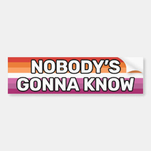 Nobody's Gonna Know White Lesbian Flag (2018) Bumper Sticker