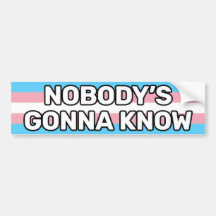 Nobody's Gonna Know White Trans Pride Flag Funny Bumper Sticker