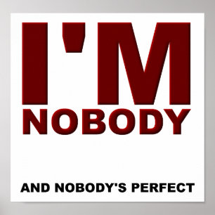 Nobody's Perfect Funny Poster
