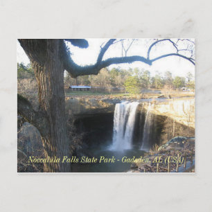 "Noccalula Falls" - Gadsden, AL (1) Postcard