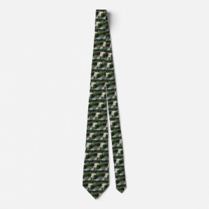 Noccalula Falls, Gadsden, Alabama Tie