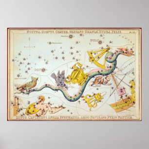 Noctua, Corvus, Crater, etc Poster