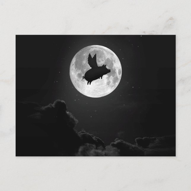 nocturnal flying pig postcard (Front)