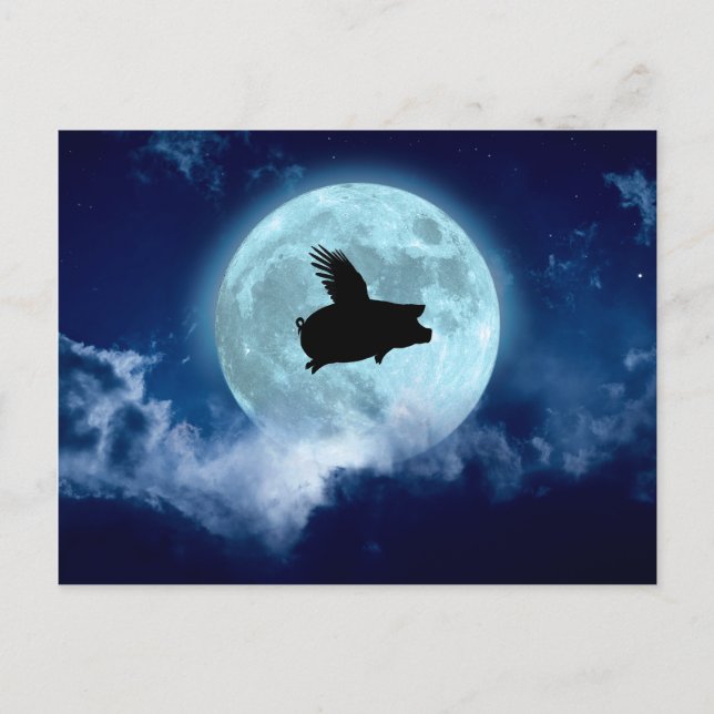 Nocturnal Flying Pig Postcard (Front)