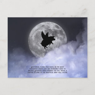 Nocturnal Flying Pigs Postcard