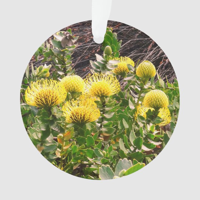 Nodding Pincushion Yellow Bird #1 Ornament (Front)