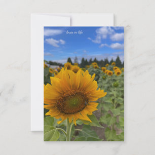 Nodding Sunflower Card