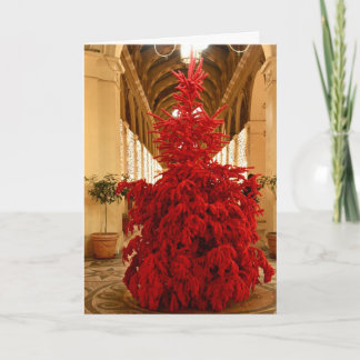 Noël à Paris Holiday Card