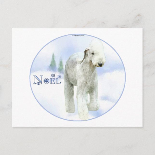 Noel Bedlington Terrier Holiday Postcard (Front)