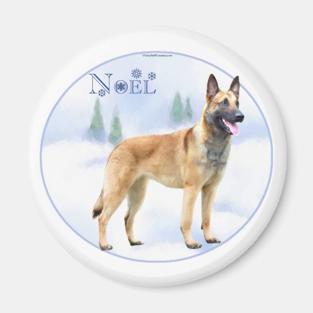 Noel Belgian Malinois Magnet (Front)