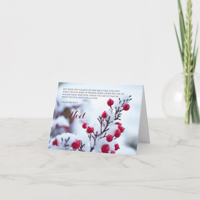 Noel Galations 4:4-5 Snow Berries Christmas Card (Front)