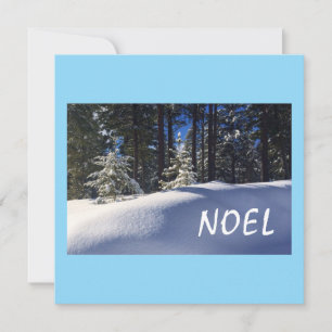 Noel Note Card
