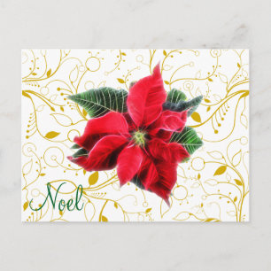 Noel Poinsettia Holiday Postcard