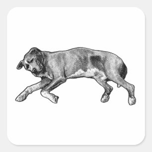 Noel Stretch, Long and Light Square Sticker