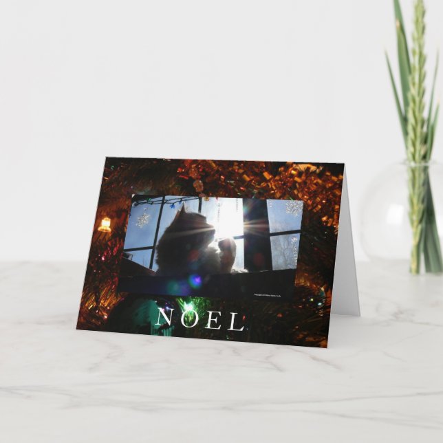 Noel-Sunburst Cat Holiday Card (Front)