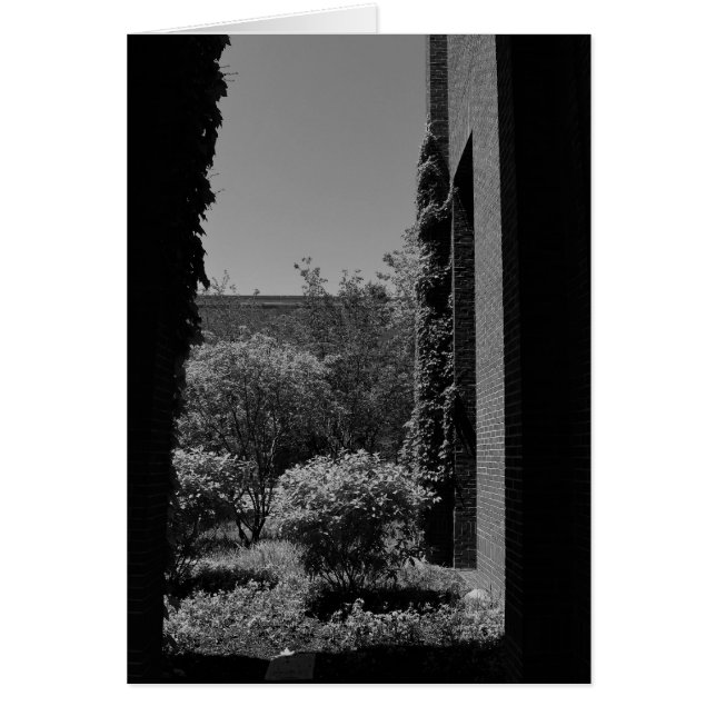 Noir City (Front)
