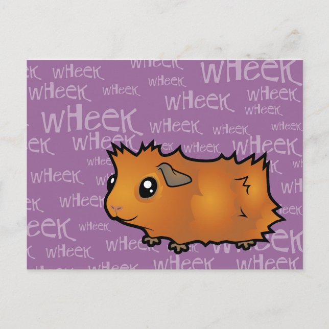 Noisy Guinea Pig (scruffy) Postcard (Front)