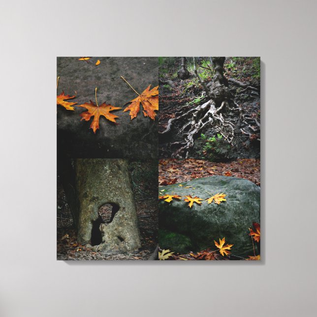 Nojoqui Falls Park Canvas Print (Front)