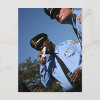 NOLA CopsPostcard Postcard