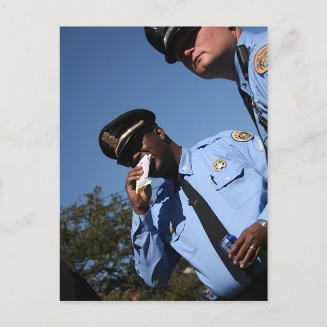 NOLA CopsPostcard Postcard (Front)