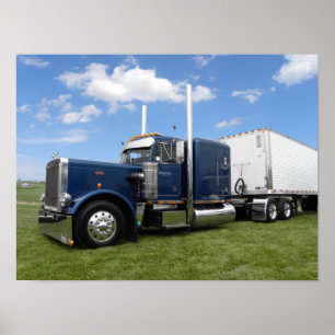 Nolt's 359 (natural colour) poster