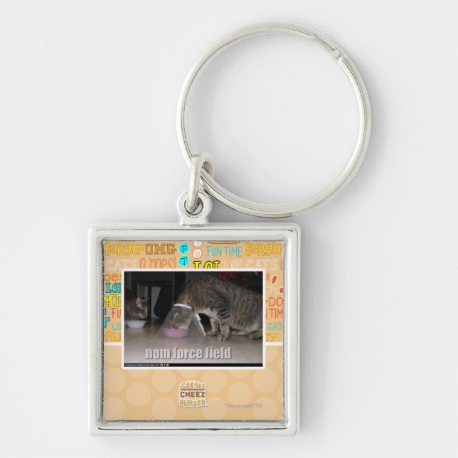 nom force field key ring (Front)