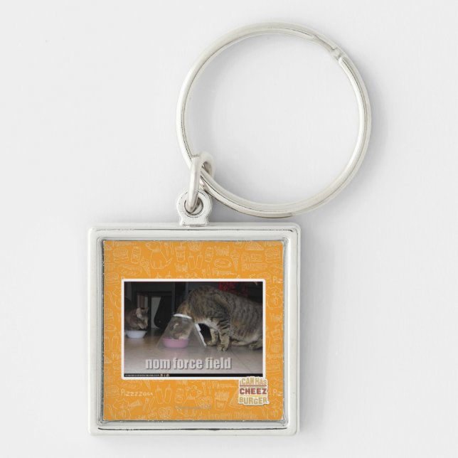 nom force field key ring (Front)