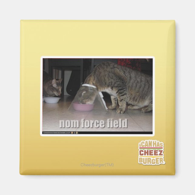 nom force field magnet (Front)