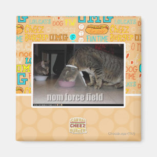 nom force field magnet