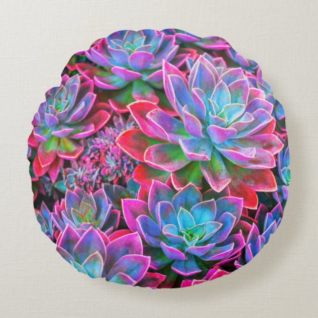 NOMADESAUSTRALIENS neon pink succulents Round Cushion (Front)