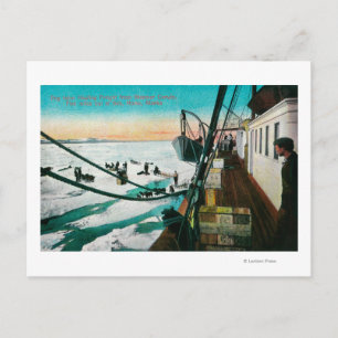 Nome, Alaska Steamer Corwin Unloading Freight Postcard