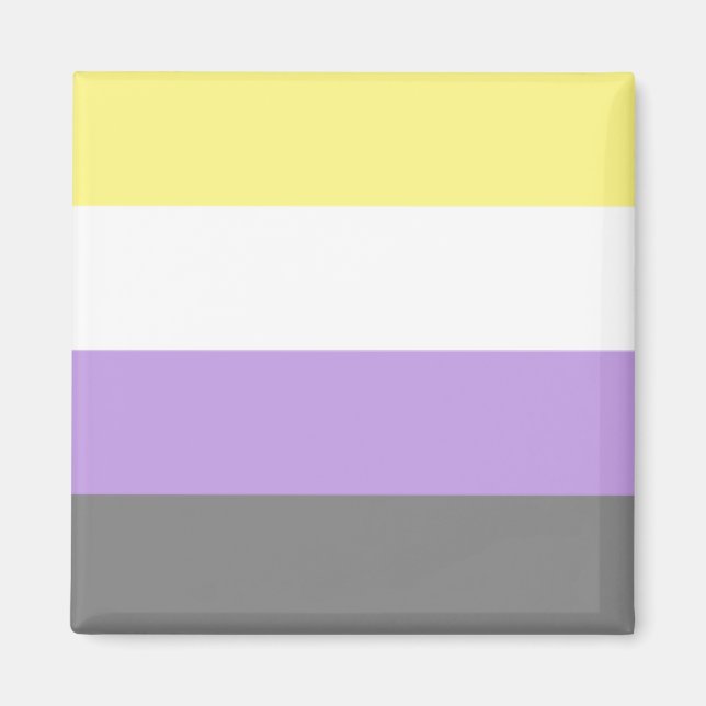 non-binary pride flag magnet (Front)