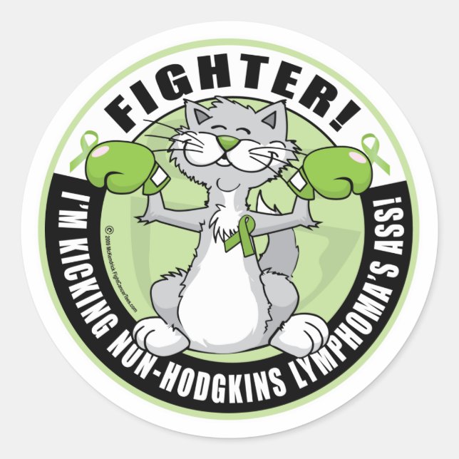 Non-Hodgkins Lymphoma Fighter Classic Round Sticker (Front)