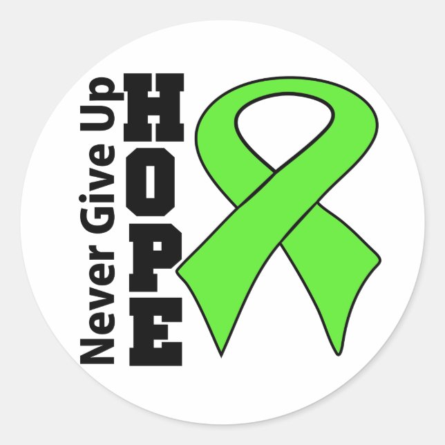 Non-Hodgkins Lymphoma Hope Never Give Up Classic Round Sticker (Front)
