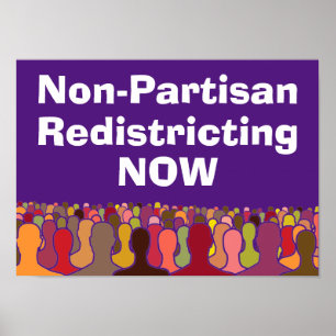 Non-Partisan Redistricting Now Poster