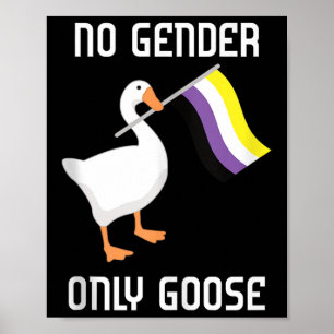 Nonbinary Goose No Gender Pride Flag Lgbtq Gay Pri Poster