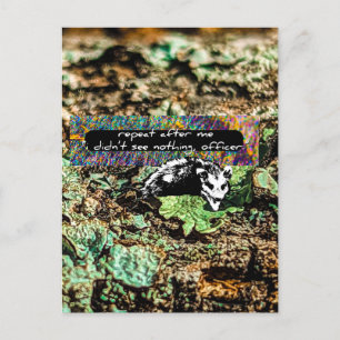 Noncompliant Postcard