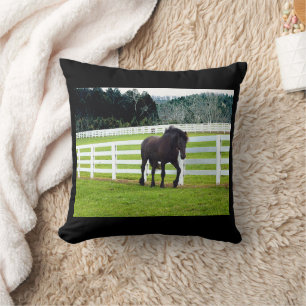 Nonesuch at Cedar Point Cushion