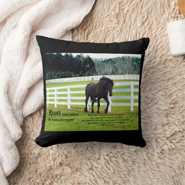 Nonesuch at Cedar Point w Job 39 Cushion (Blanket)