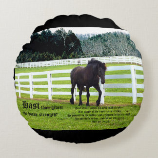 Nonesuch at Cedar Point w Job 39 Round Cushion