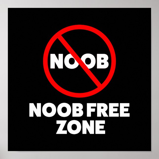Noob Free Zone Poster (Front)