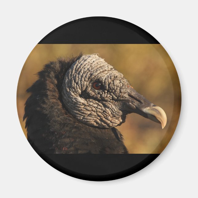 Nooks & Crannies Magnet (Front)